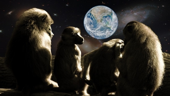 Monkeys may face various challenges when mating in zero gravity.