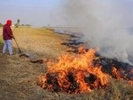 Though awareness campaigns regarding those highlighting the harms of stubble burning were held, no better results were seen. (HT File Photo) Though awareness campaigns regarding those highlighting the harms of stubble burning were held, no better results were seen. (HT File Photo)