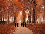 Mesmerised by the beauty of J-K in autumn, tourists defined it as ‘Truly heaven’(istockphoto) Mesmerised by the beauty of J-K in autumn, tourists defined it as ‘Truly heaven’(istockphoto)