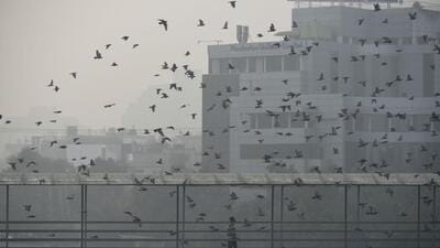 Gurugram, India - November 06: A pedestrian walks on a foot over bridge at Sector-29 near Signature Tower Chowk amid smoggy weather conditions, in Gurugram, India, on Sunday, November 6, 2022. (Photo by Parveen Kumar/Hindustan Times) Gurugram, India - November 06: A pedestrian walks on a foot over bridge at Sector-29 near Signature Tower Chowk amid smoggy weather conditions, in Gurugram, India, on Sunday, November 6, 2022. (Photo by Parveen Kumar/Hindustan Times)