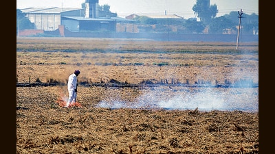 In last leg of harvesting, Haryana records lesser farm fires