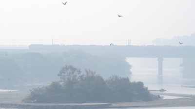 New Delhi: A metro train runs on its track amid low visibility due to smog. (PTI) New Delhi: A metro train runs on its track amid low visibility due to smog. (PTI)