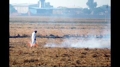 Farm scientists and experts are to be blamed for the current situation when paddy growers are resorting to burning the stubble leading to health and environment hazards. This was stated by joint director-level officer of the agriculture department, Punjab, Jagdish Singh while sharing his viewpoint in the discussion on “Paddy stubble – farmers’ friend or enemy”. (HT File Photo) Farm scientists and experts are to be blamed for the current situation when paddy growers are resorting to burning the stubble leading to health and environment hazards. This was stated by joint director-level officer of the agriculture department, Punjab, Jagdish Singh while sharing his viewpoint in the discussion on “Paddy stubble – farmers’ friend or enemy”. (HT File Photo)