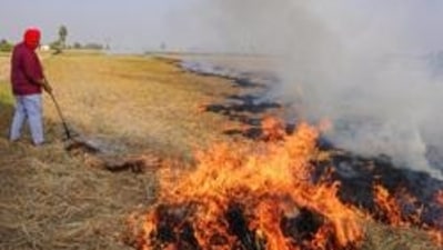 Though awareness campaigns regarding those highlighting the harms of stubble burning were held, no better results were seen. (HT File Photo) Though awareness campaigns regarding those highlighting the harms of stubble burning were held, no better results were seen. (HT File Photo)