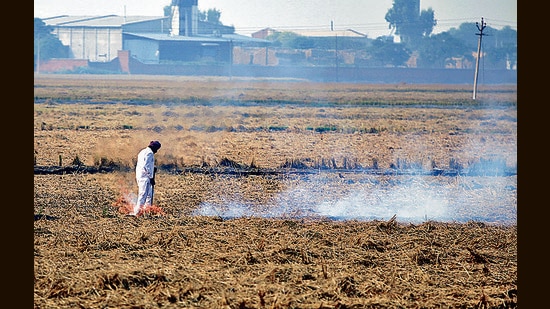 In last leg of harvesting, Haryana records lesser farm fires