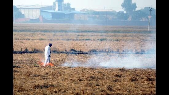 Farm scientists and experts are to be blamed for the current situation when paddy growers are resorting to burning the stubble leading to health and environment hazards. This was stated by joint director-level officer of the agriculture department, Punjab, Jagdish Singh while sharing his viewpoint in the discussion on “Paddy stubble – farmers’ friend or enemy”. (HT File Photo)