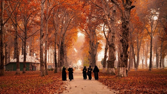 Mesmerised by the beauty of J-K in autumn, tourists defined it as ‘Truly heaven’(istockphoto)