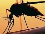 India has made significant strides in its battle against malaria through collaborative partnerships and dedicated efforts from the bottom up. India has made significant strides in its battle against malaria through collaborative partnerships and dedicated efforts from the bottom up.