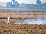Data from Punjab Remote Sensing Centre (PRSC) on Sunday showed only two districts with more than 100 fires, the largest number–130–was in Mansa. (Photos by Sanjeev Kumar/ Hindustan Times) Data from Punjab Remote Sensing Centre (PRSC) on Sunday showed only two districts with more than 100 fires, the largest number–130–was in Mansa. (Photos by Sanjeev Kumar/ Hindustan Times)