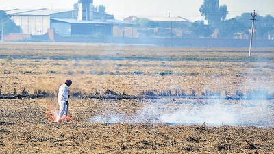There may not be immediate relief from air pollution caused by rampant farm fires in the state as till Monday, about two lakh hectares (10%) under rice cultivation in Punjab’s Malwa belt is yet to be harvested. (HT File Photo) There may not be immediate relief from air pollution caused by rampant farm fires in the state as till Monday, about two lakh hectares (10%) under rice cultivation in Punjab’s Malwa belt is yet to be harvested. (HT File Photo)