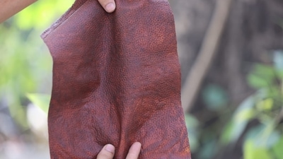 The initiative is a regenerative approach to creating leather out of floral waste, developed by IIT Kanpur-incubated startup Phool.co. (Handout) The initiative is a regenerative approach to creating leather out of floral waste, developed by IIT Kanpur-incubated startup Phool.co. (Handout)