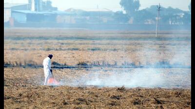 Stubble burning by farmers in Punjab and other parts significantly contributes to air pollution in north India during winters. Stubble burning by farmers in Punjab and other parts significantly contributes to air pollution in north India during winters.
