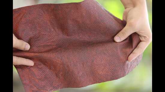 As announced by Prince William, the IIT Kanpur-backed innovation ‘Fleather’ - a regenerative approach to creating leather from floral waste - has been named one of 15 finalists for the 2022 Earthshot Prize. (HT PHOTO) As announced by Prince William, the IIT Kanpur-backed innovation ‘Fleather’ - a regenerative approach to creating leather from floral waste - has been named one of 15 finalists for the 2022 Earthshot Prize. (HT PHOTO)