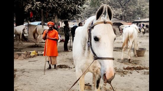 The event, held annually at Sonepur in Saran district, is said to be the largest cattle fair in India. (HT Archives)