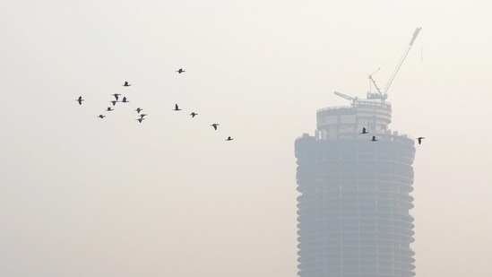 Birds fly through haze-enveloped sky, in New Delhi,(PTI)