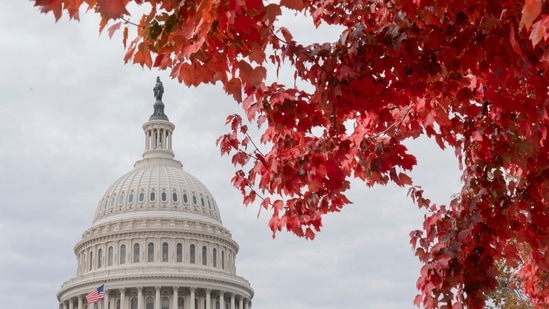 US Midterm Elections: Red autumn leaves frame the US Capitol.(AP)