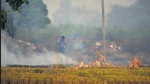 A farmer burns stubble in outskirts of Ludhiana. (HT Photos) A farmer burns stubble in outskirts of Ludhiana. (HT Photos)