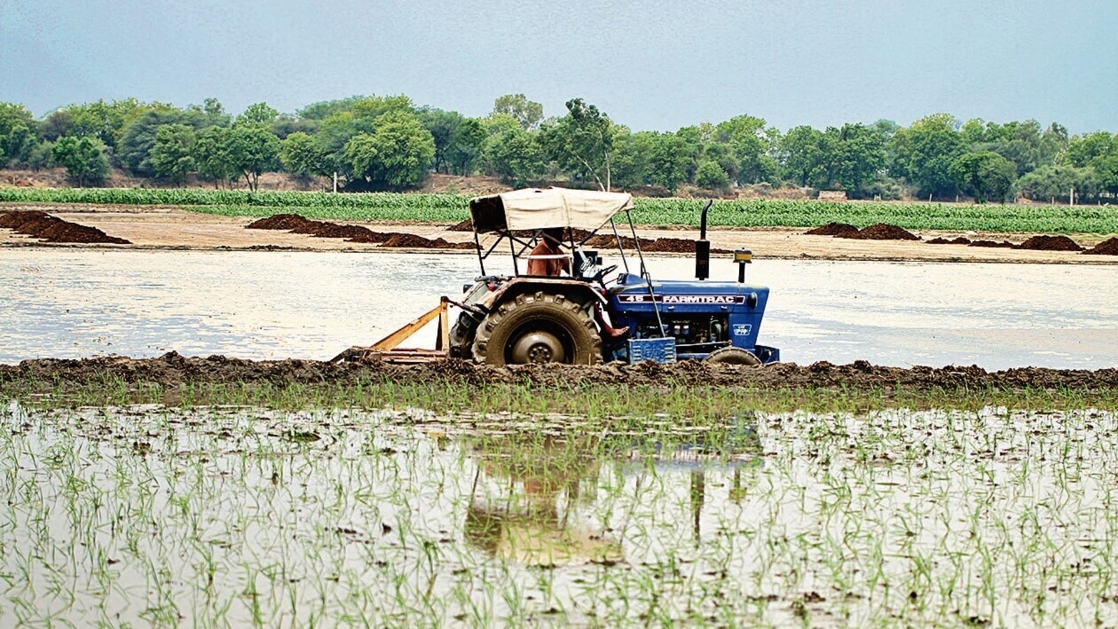 Kharif Crop In Punjab 200k hectare Fields Still To Be Cleared 
