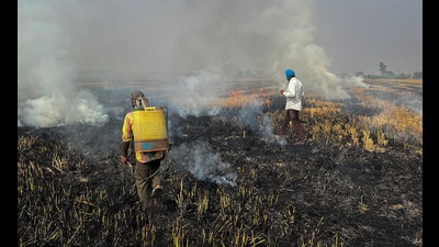 Farmers burn crop stubble in a rice field at a village in Fatehgarh Sahib district in Punjab. REUTERS/Sunil Kataria (REUTERS file photo) Farmers burn crop stubble in a rice field at a village in Fatehgarh Sahib district in Punjab. REUTERS/Sunil Kataria (REUTERS file photo)