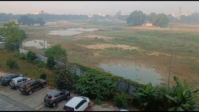 An open plot with stagnant rainwater in Jankipuram area of Lucknow. (Sourced) An open plot with stagnant rainwater in Jankipuram area of Lucknow. (Sourced)
