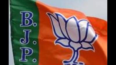 he formula has been reached amid resentment among the home-grown leaders that the party was giving too much importance to those who have switched to the BJP from the Congress. (AFP file photo) he formula has been reached amid resentment among the home-grown leaders that the party was giving too much importance to those who have switched to the BJP from the Congress. (AFP file photo)