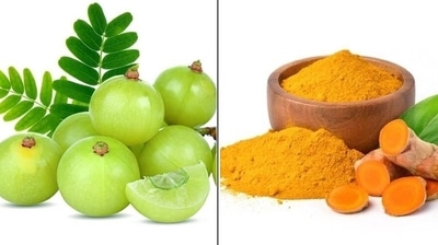 There are foods that can help reduce damage from air pollution and boost immunity (Pinterest) There are foods that can help reduce damage from air pollution and boost immunity (Pinterest)