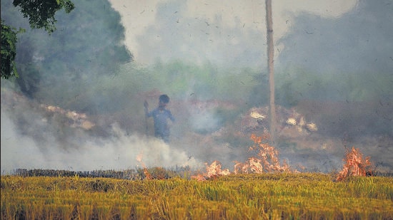 A farmer burns stubble in outskirts of Ludhiana. (HT Photos)