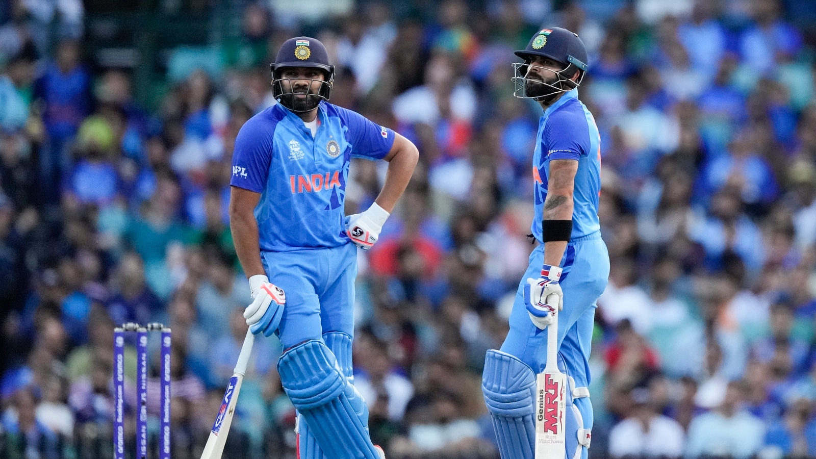 India vs England Live Streaming, T20 WC 2022 Semi-Final When and Where to watch Cricket