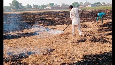 Even as most of the other districts of Punjab have seen a decline in farm fires, it has witnessed a spike in the south Malwa region since the start of November. Even as most of the other districts of Punjab have seen a decline in farm fires, it has witnessed a spike in the south Malwa region since the start of November.