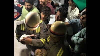 Firefighters with rescued puppies. (HT Photo) Firefighters with rescued puppies. (HT Photo)