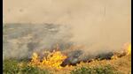 Punjab’s air quality index (AQI) improved a bit on Thursday even as the state saw 1,893 stubble burning incidents on Thursday against 1,778 reported a day before. Punjab’s air quality index (AQI) improved a bit on Thursday even as the state saw 1,893 stubble burning incidents on Thursday against 1,778 reported a day before.