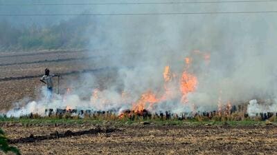 Sanaur (Punjab), Nov 05 (ANI): Stubble being burnt in a paddy field near Sanaur, on Saturday. (ANI Photo) (Rajesh Sachar) Sanaur (Punjab), Nov 05 (ANI): Stubble being burnt in a paddy field near Sanaur, on Saturday. (ANI Photo) (Rajesh Sachar)