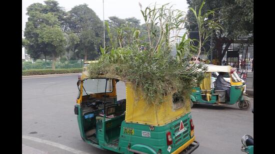 He grows not just flowering plants but also veggies in his mobile garden. (Photo: Dhruv Sethi/HT) He grows not just flowering plants but also veggies in his mobile garden. (Photo: Dhruv Sethi/HT)