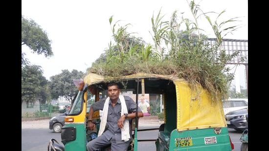 Mahendra Kumar shares how plants are important for the survival of everybody. (Photo: Dhruv Sethi/HT) Mahendra Kumar shares how plants are important for the survival of everybody. (Photo: Dhruv Sethi/HT)