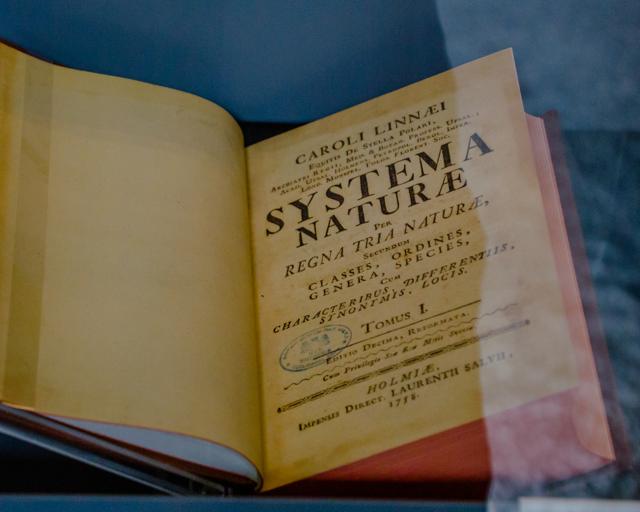 A copy of the Systema Naturae at the National History Museum in London, UK. It is one of the major works of the Swedish botanist, zoologist and physician Carl Linnaeus. (Shutterstock)
