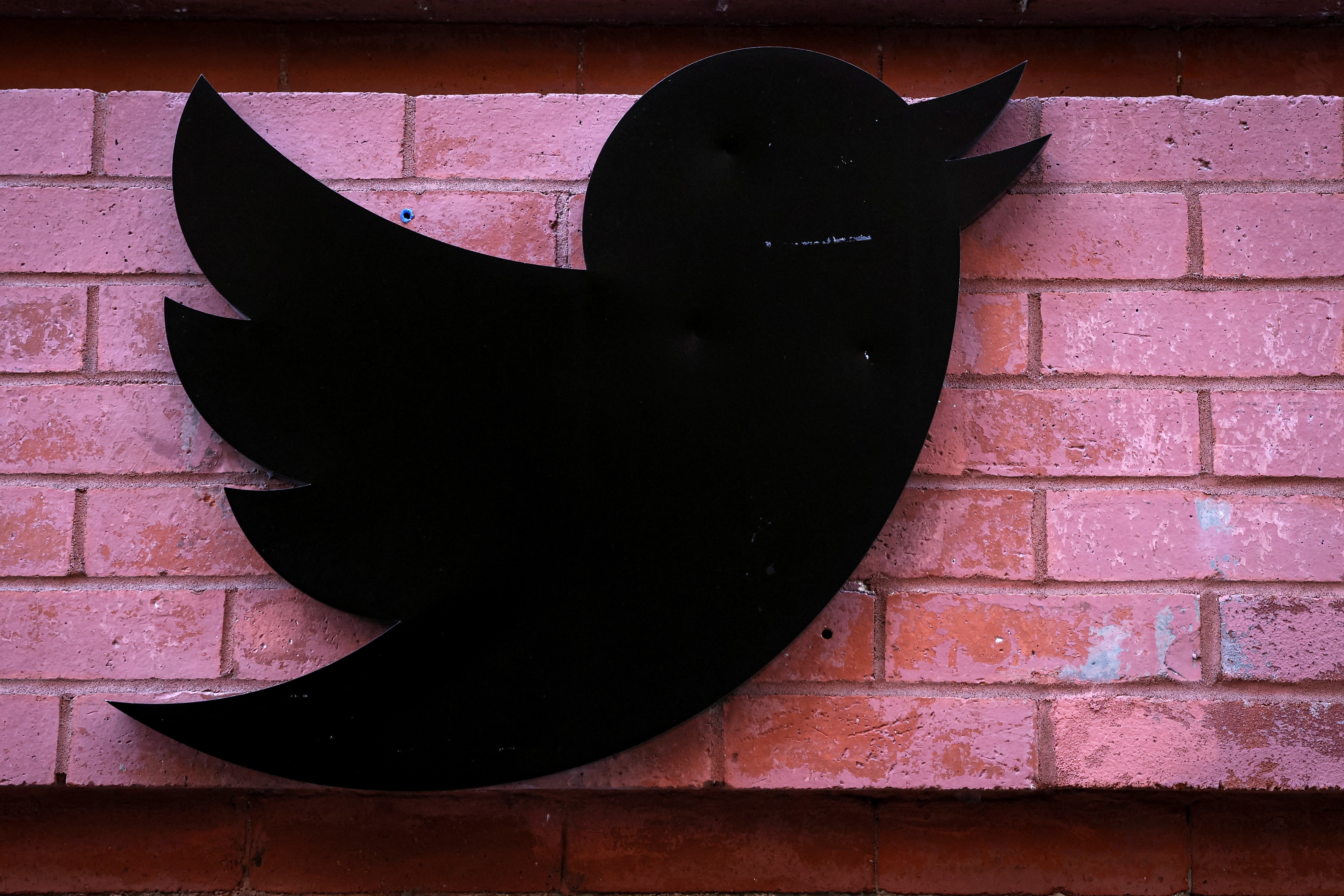 Elon Musk bought Twitter for $44 billion and took control on Oct. 27. (Reuters file photo)