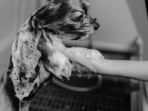 Take home one of these finest dog shampoos available on Amazon