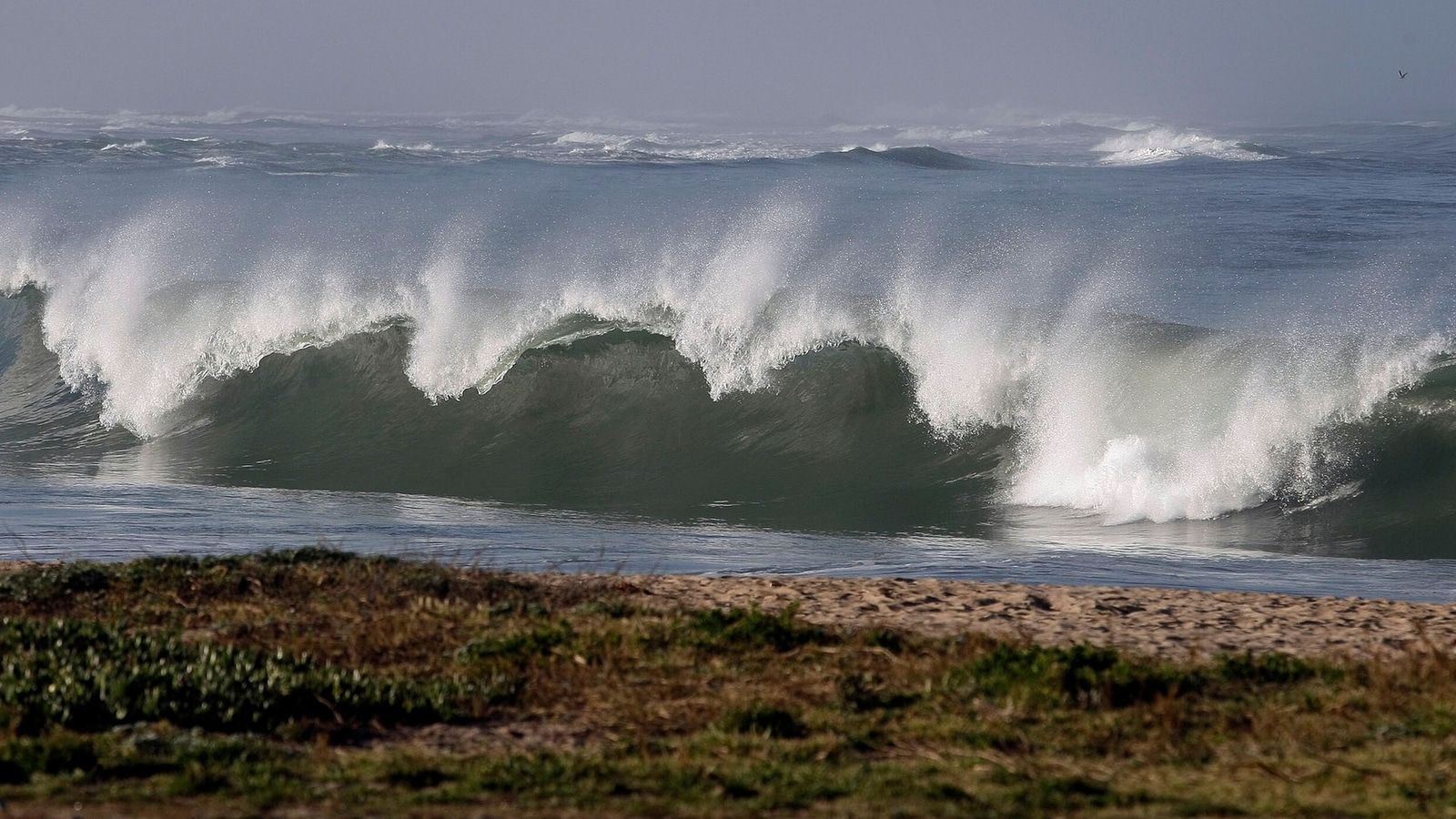 7.3 magnitude earthquake puts Tonga on tsunami alert; waves ...