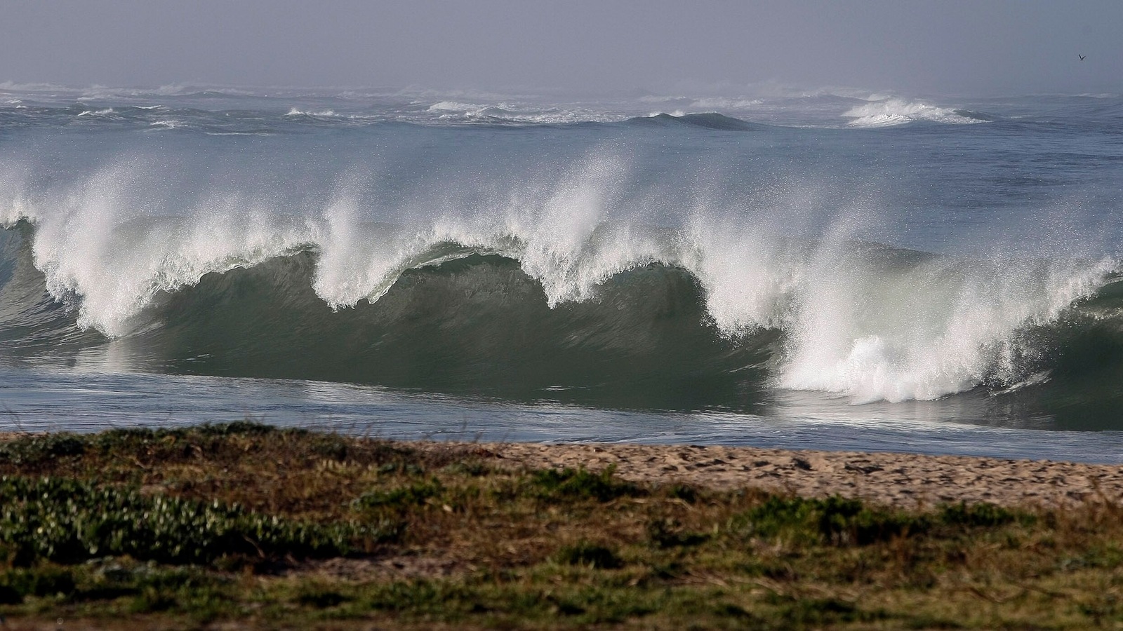 7 3 Magnitude Earthquake Puts Tonga On Tsunami Alert Waves Observed In 