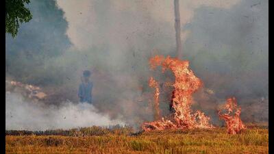 With paddy harvesting in its last phase and the deadline for sowing wheat approaching, Punjab on Friday clocked 3,916 cases of stubble burning, making it the highest number of farm fire incidents so far this season. With paddy harvesting in its last phase and the deadline for sowing wheat approaching, Punjab on Friday clocked 3,916 cases of stubble burning, making it the highest number of farm fire incidents so far this season.