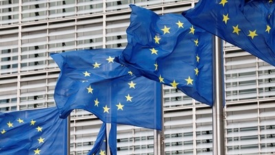 Currently, EU countries have to ensure they compensate emissions from land use and forestry with at least an equivalent amount of carbon removal. (Reuters)