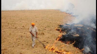 Department officials say Punjab reported a total of 71,246 farm fires in 2021, but the number is not expected to cross 55,000 this year. Department officials say Punjab reported a total of 71,246 farm fires in 2021, but the number is not expected to cross 55,000 this year.