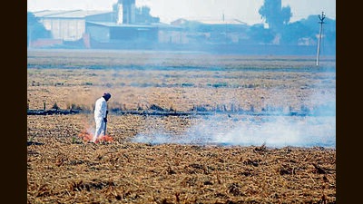 Haryana reports steep rise in farm fire incidents (HT File)