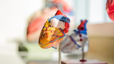 Dr GS Wander, chief cardiologist at the Hero Heart Centre of DMCH, Ludhiana, said an increased number of patients have been complaining of chest pain, fatigue and shortness of breath over the past month and most of them are middle aged and elderly people with comorbidities (Representative image)