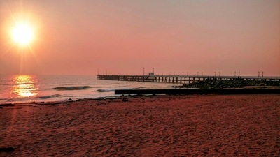 Without a doubt, Pondicherry is one of India's most fantastical hidden gems. It is also referred to as "The Little Paris," and is incredibly evocative of the attraction of France. You will be overcome by the breathtaking beauty of the tree-lined avenues, picture-perfect colonial villas in mustard colour, peaceful beaches, and swanky shops. Pondicherry is the ideal location for a honeymoon that is absolutely romantic and has the ideal balance of peace and excitement. (Unsplash) Without a doubt, Pondicherry is one of India's most fantastical hidden gems. It is also referred to as "The Little Paris," and is incredibly evocative of the attraction of France. You will be overcome by the breathtaking beauty of the tree-lined avenues, picture-perfect colonial villas in mustard colour, peaceful beaches, and swanky shops. Pondicherry is the ideal location for a honeymoon that is absolutely romantic and has the ideal balance of peace and excitement. (Unsplash)