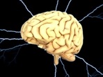 Epilepsy: Causes, risk factors, right time to see doctor, diagnosis, treatment (Image by Pete Linforth from Pixabay ) Epilepsy: Causes, risk factors, right time to see doctor, diagnosis, treatment (Image by Pete Linforth from Pixabay )