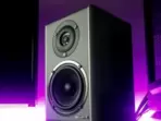 Best blaupunkt speakers for you