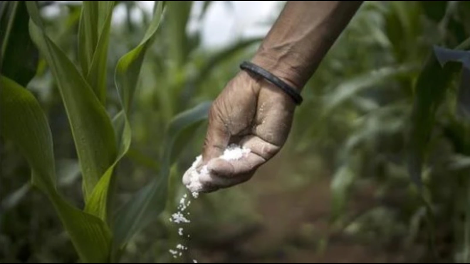 Raid on Lakhimpur fertiliser factory: Two booked for making, selling bogus fertilisers