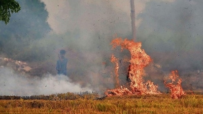 The NHRC has asked the Delhi government to apprise about the steps taken to control open burning. The NHRC has asked the Delhi government to apprise about the steps taken to control open burning.