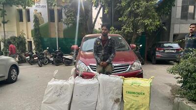 Man held with 174kg marijuana worth ₹50 lakh in Noida Man held with 174kg marijuana worth ₹50 lakh in Noida